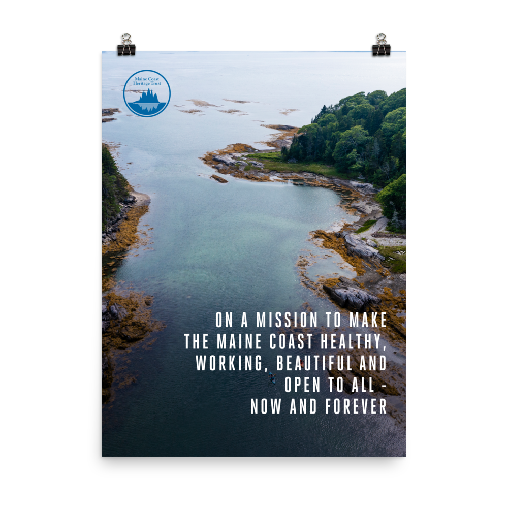 Little Whaleboat Island Preserve Poster