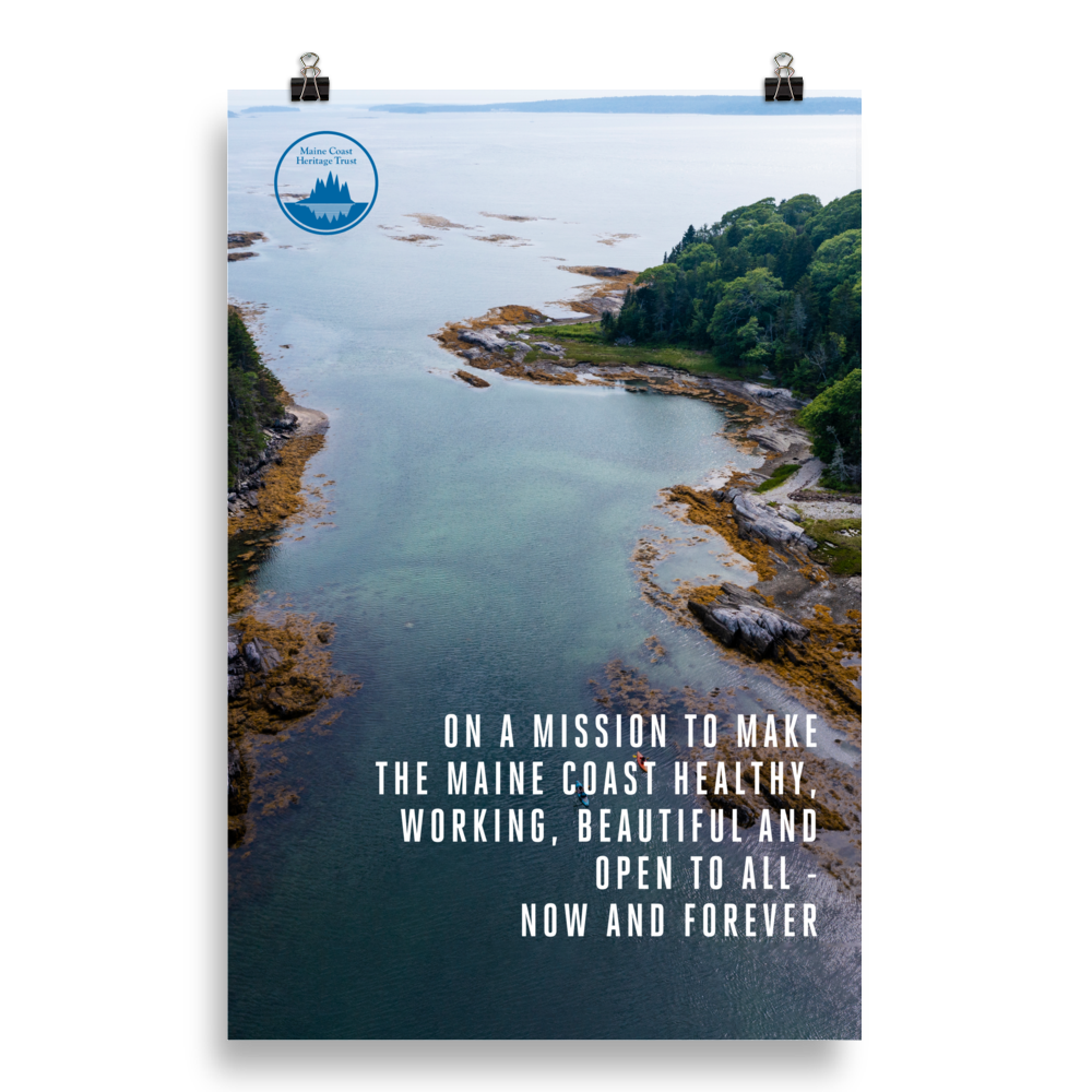Little Whaleboat Island Preserve Poster
