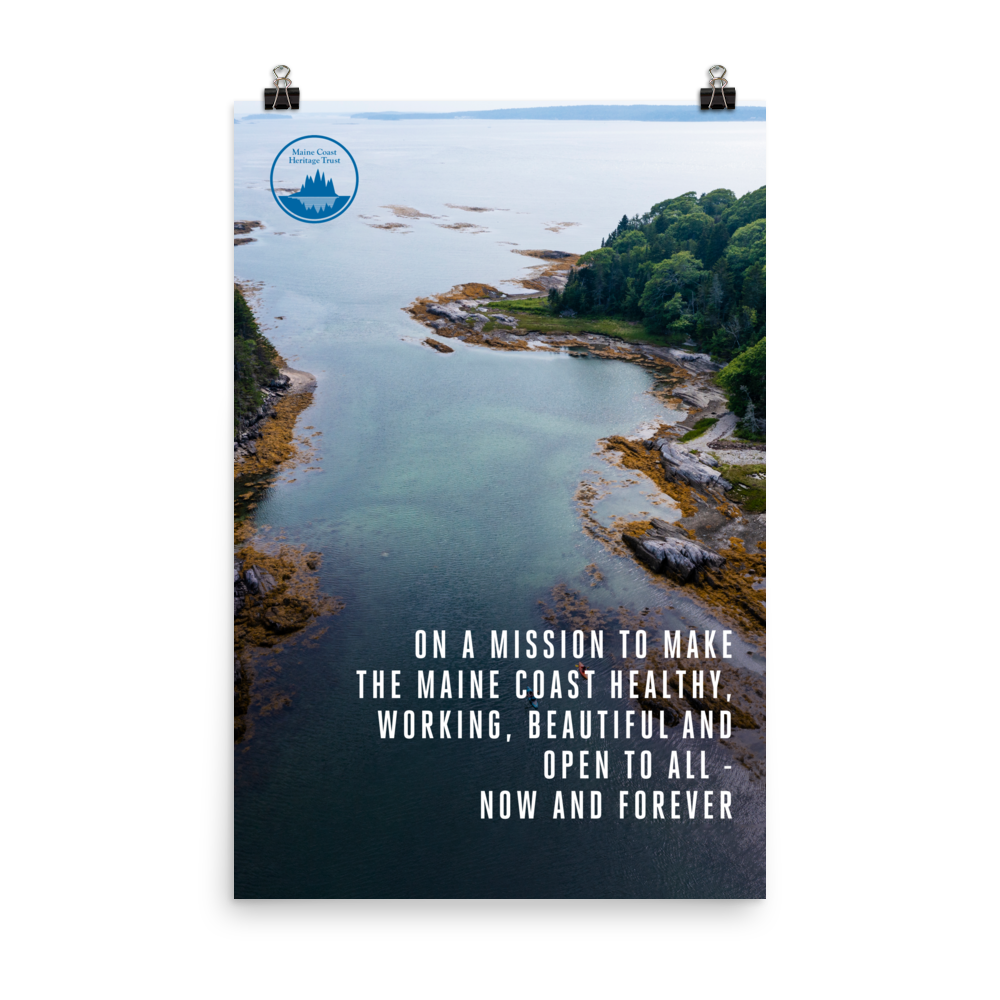 Little Whaleboat Island Preserve Poster