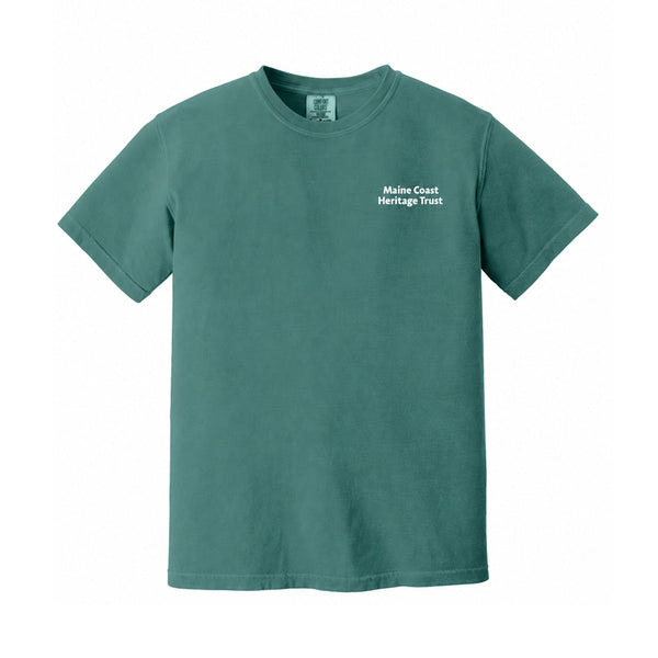 Short-Sleeved T-Shirt (Adult)