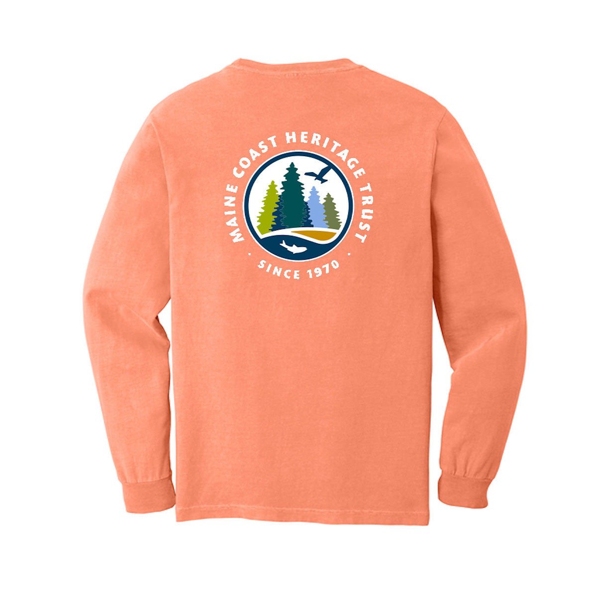 Long-Sleeved T-Shirt (Adult)